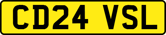 CD24VSL