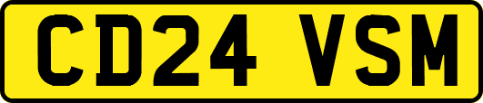 CD24VSM