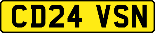 CD24VSN