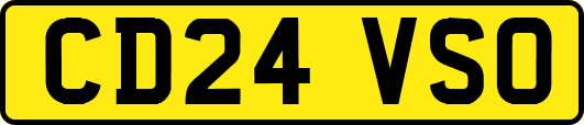 CD24VSO