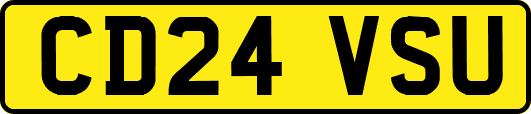 CD24VSU