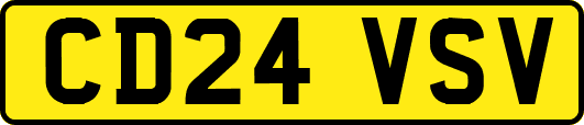 CD24VSV