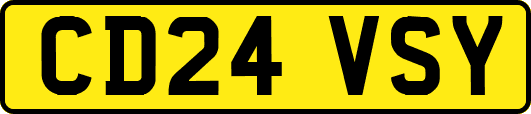 CD24VSY