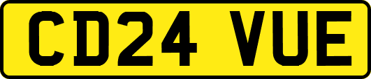 CD24VUE