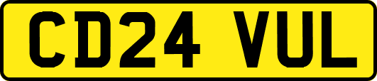 CD24VUL