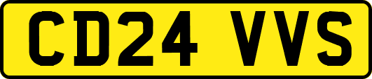 CD24VVS