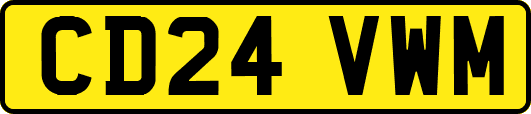 CD24VWM