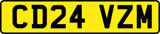 CD24VZM