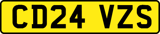 CD24VZS