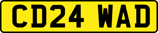 CD24WAD