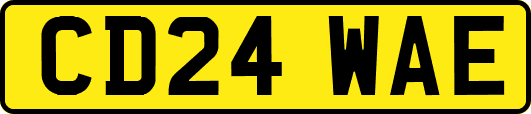CD24WAE