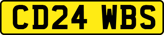 CD24WBS