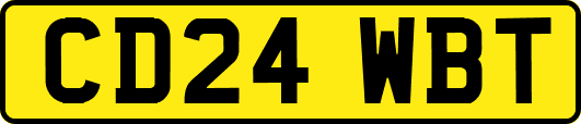 CD24WBT