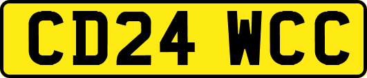 CD24WCC