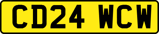 CD24WCW
