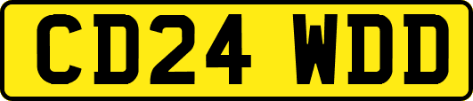 CD24WDD