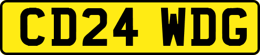 CD24WDG