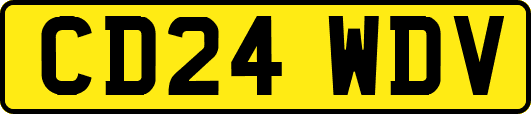 CD24WDV