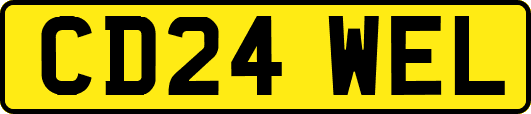 CD24WEL