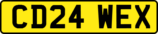 CD24WEX