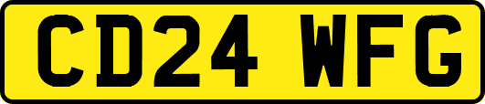 CD24WFG