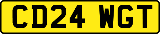 CD24WGT