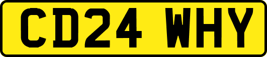 CD24WHY