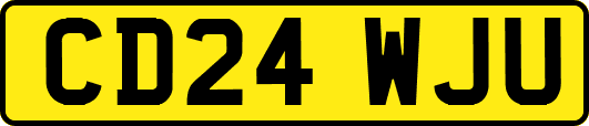 CD24WJU