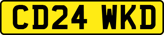 CD24WKD