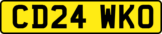 CD24WKO