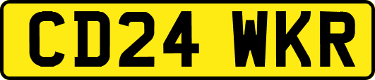 CD24WKR