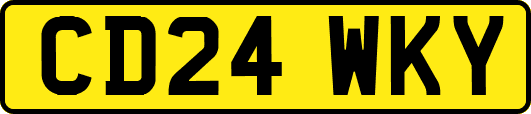 CD24WKY