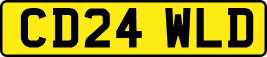 CD24WLD