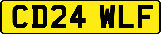 CD24WLF