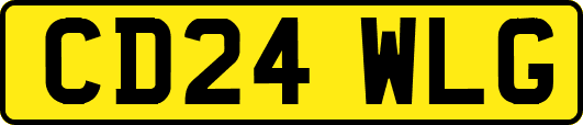 CD24WLG