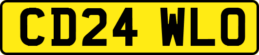 CD24WLO