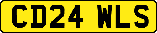 CD24WLS