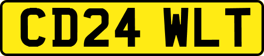 CD24WLT