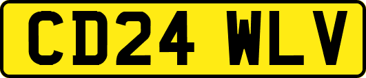 CD24WLV