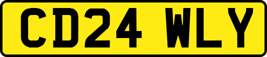 CD24WLY
