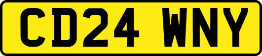 CD24WNY