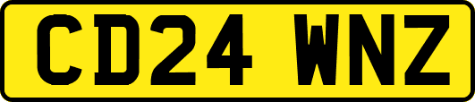 CD24WNZ