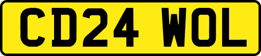 CD24WOL