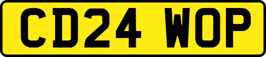 CD24WOP