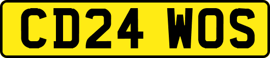 CD24WOS