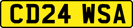 CD24WSA