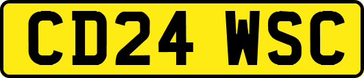 CD24WSC