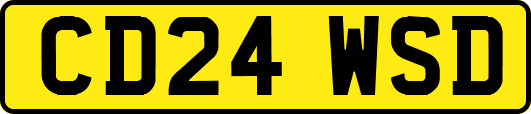 CD24WSD