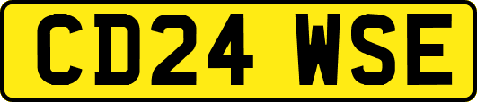 CD24WSE
