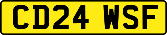 CD24WSF
